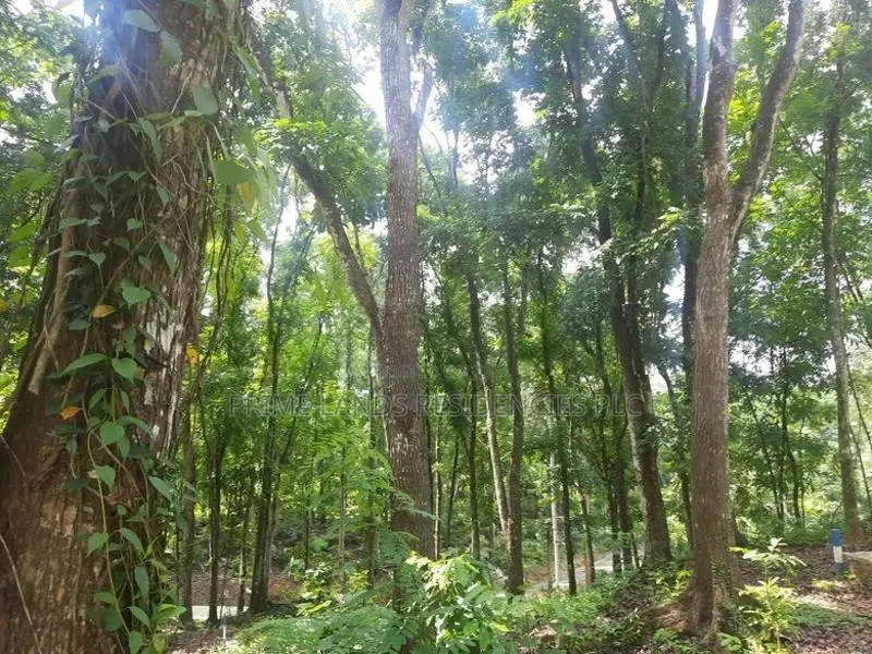 Land for Sale in Nelundeniya