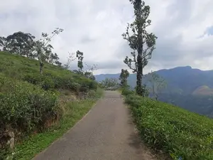 Mountain view Land for sale in Pundaluoya