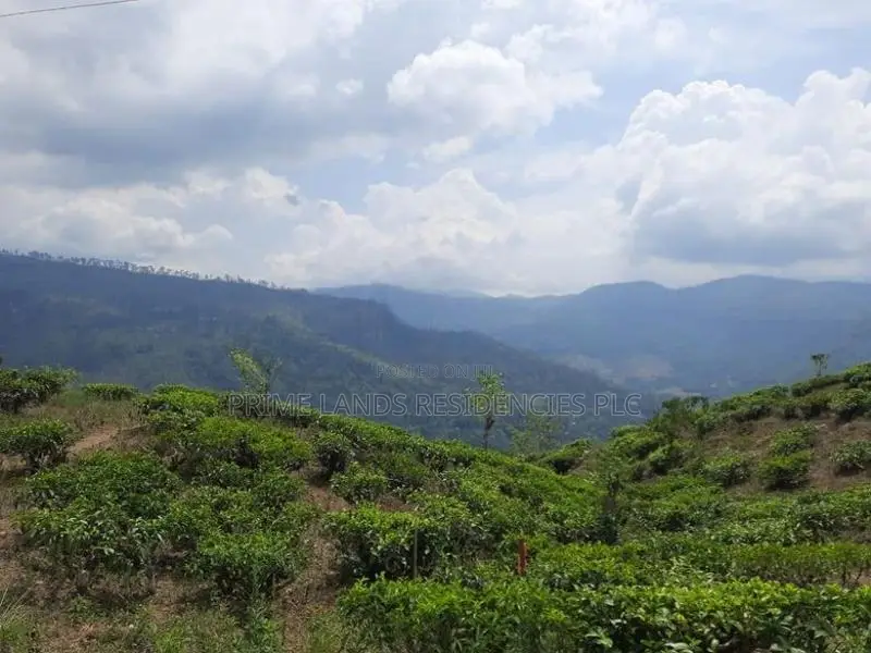 Mountain view Land for sale in Pundaluoya