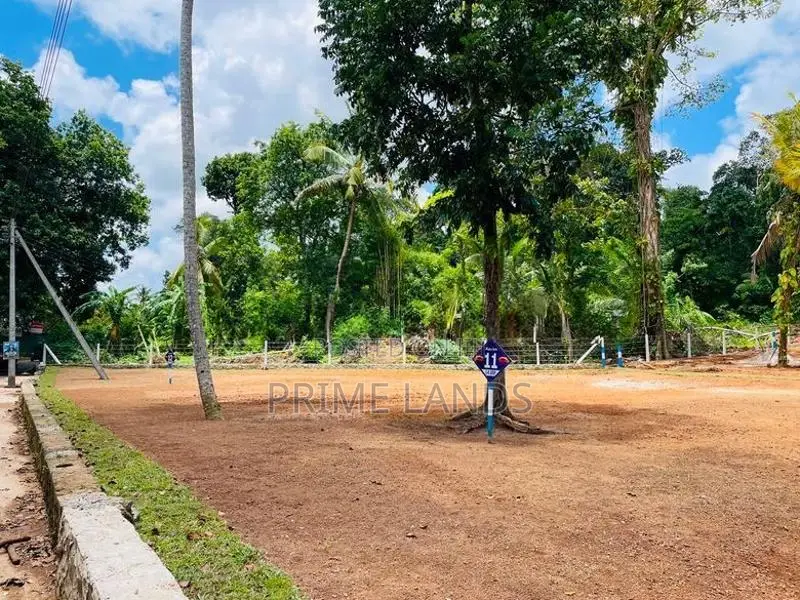 අලුත්වල නගරයට ආසන්නව ඉඩම