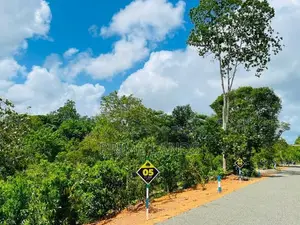 අම්බලන්ගොඩ නගර සභා සීමාවෙන් ඉඩම