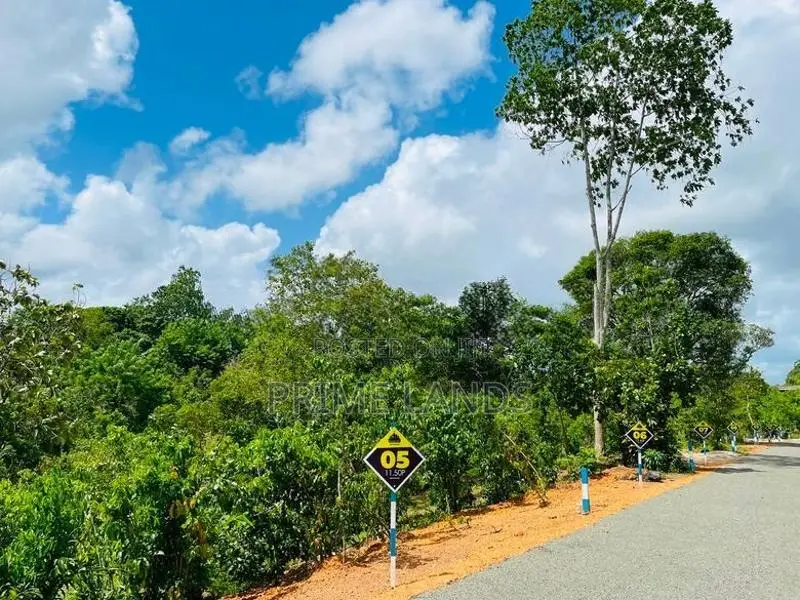 අම්බලන්ගොඩ නගර සභා සීමාවෙන් ඉඩම