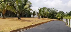 Premium Land for Sale in Kiriwattuduwa
