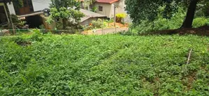 10P land for sale in kandy - Peradeniya road (near court complex)