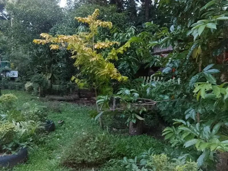 Land for Sale Kudagammana