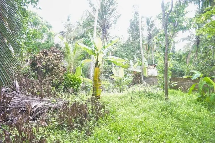 Land for sale Kurunegala