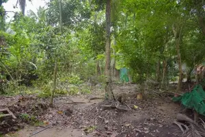 Land for sale Kurunegala
