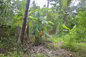 Land for sale Kurunegala