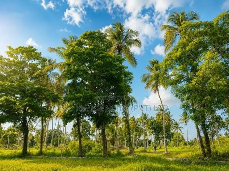 Padeniya Residential Land Plots. ( S )
