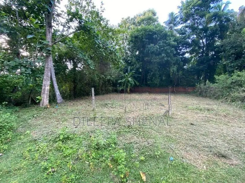Land for Sale Kotchchikade