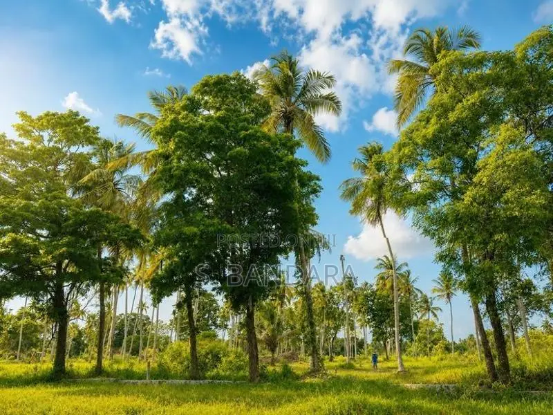 Paddy Field Face Land in Padeniya, Kurunagala M 16