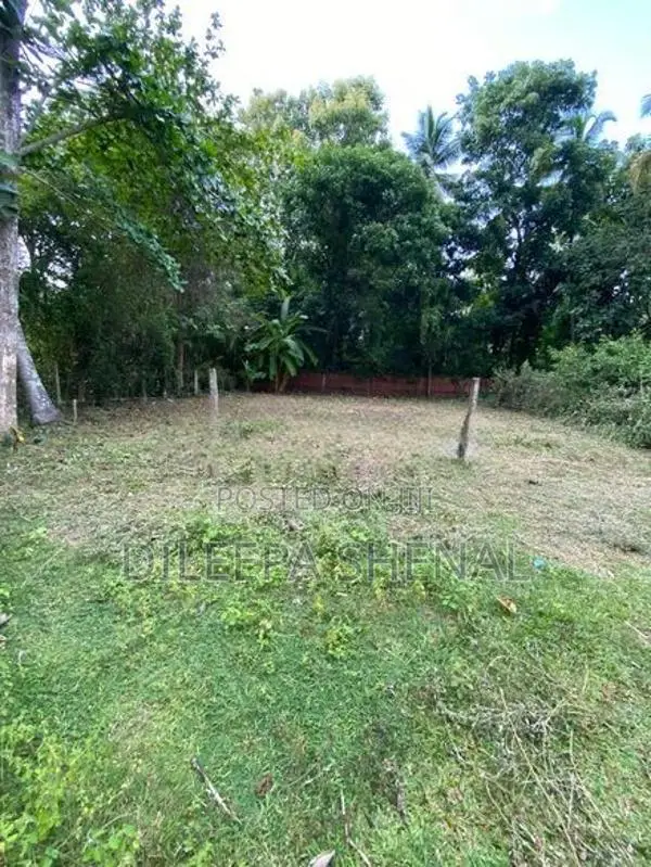 Land for Sale Kotchchikade
