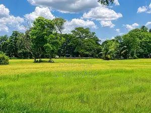 Paddy Field Face Land in Padeniya, Kurunagala M 16