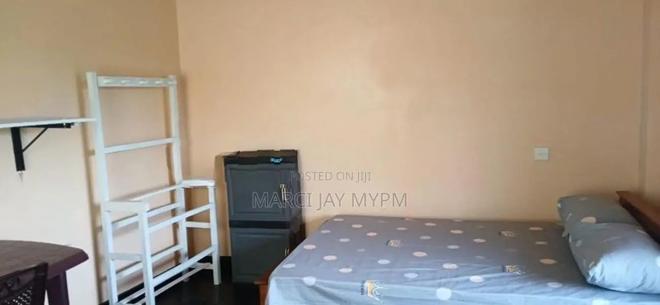 Room for a Working Girl Near Open University Nawala