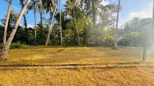 Kadawatha Best Residential Land for Sale