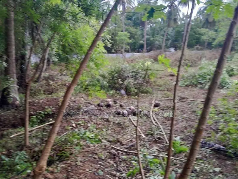 100 Perches Residential Land Sale Jaffna