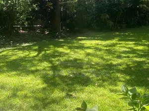 Land for Sale Near Galle Road