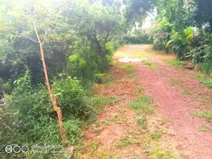 Land for sale Makumbura Hiripitiya Road