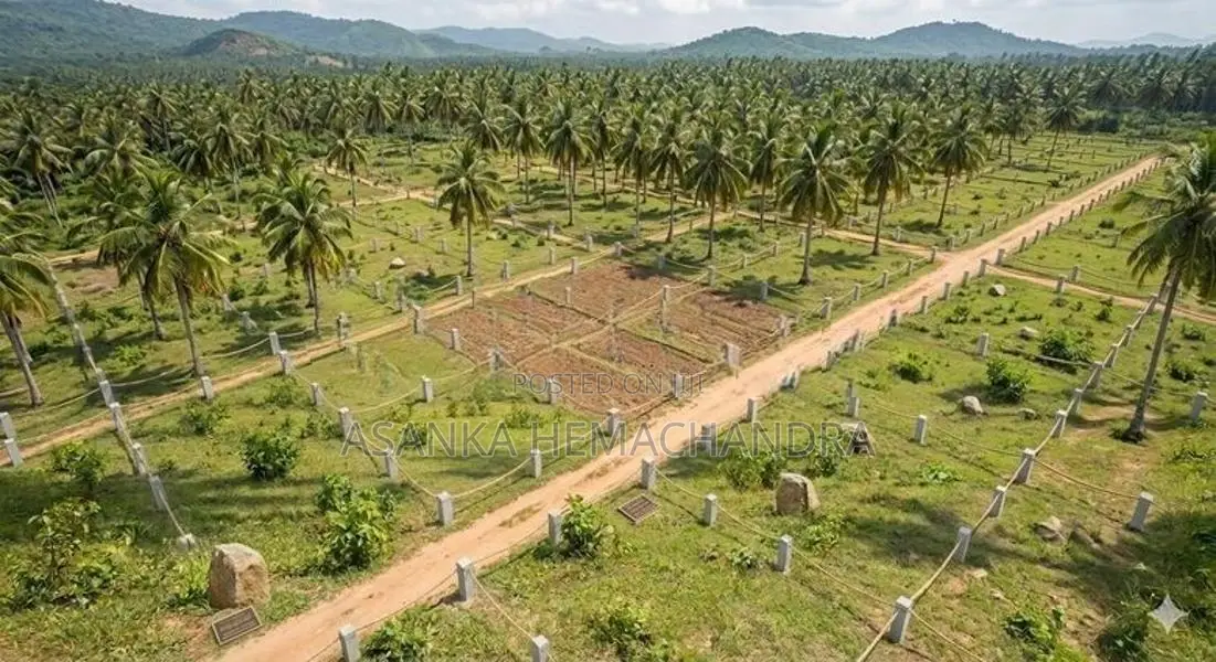 Land for Sale in Kurunegala