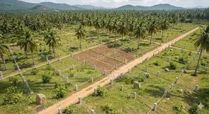 Land for Sale in Kurunegala