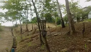 Residential Land for Sale in Uthuwankanda