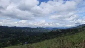 Mountain View Land for Sale in Nillamba