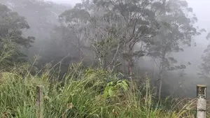 Valuable Land for Sale in Pussellawa