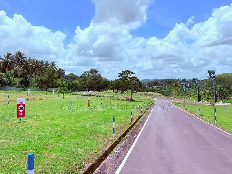 Valuable Land for Sale in Homagama Berukatiya