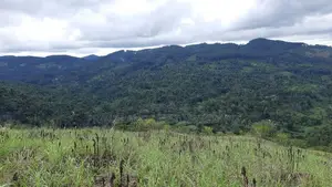 Mountain View Land for Sale in Nillamba