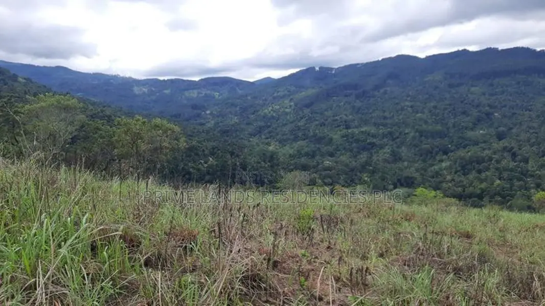 Mountain View Land for Sale in Nillamba