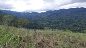 Mountain View Land for Sale in Nillamba