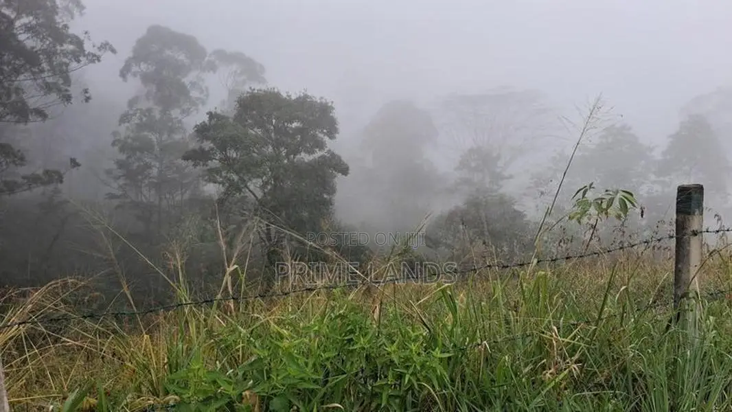 Valuable Land for Sale in Pussellawa