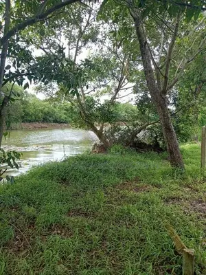 Lake Facing 20p Land for Sale in Nawala
