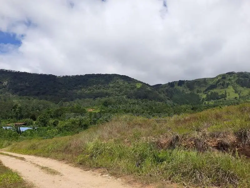 Mountain View Land for Sale in Delthota