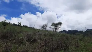Mountain View Land for Sale in Nillamba