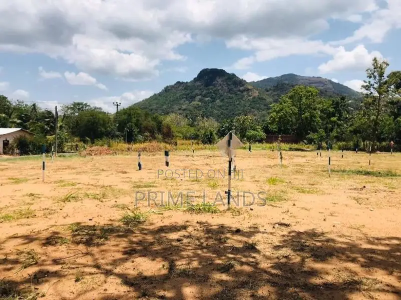 දඹුල්ල නුවර පාරෙන් සින්නක්කර බිම්කොටසක් විකිණීමට