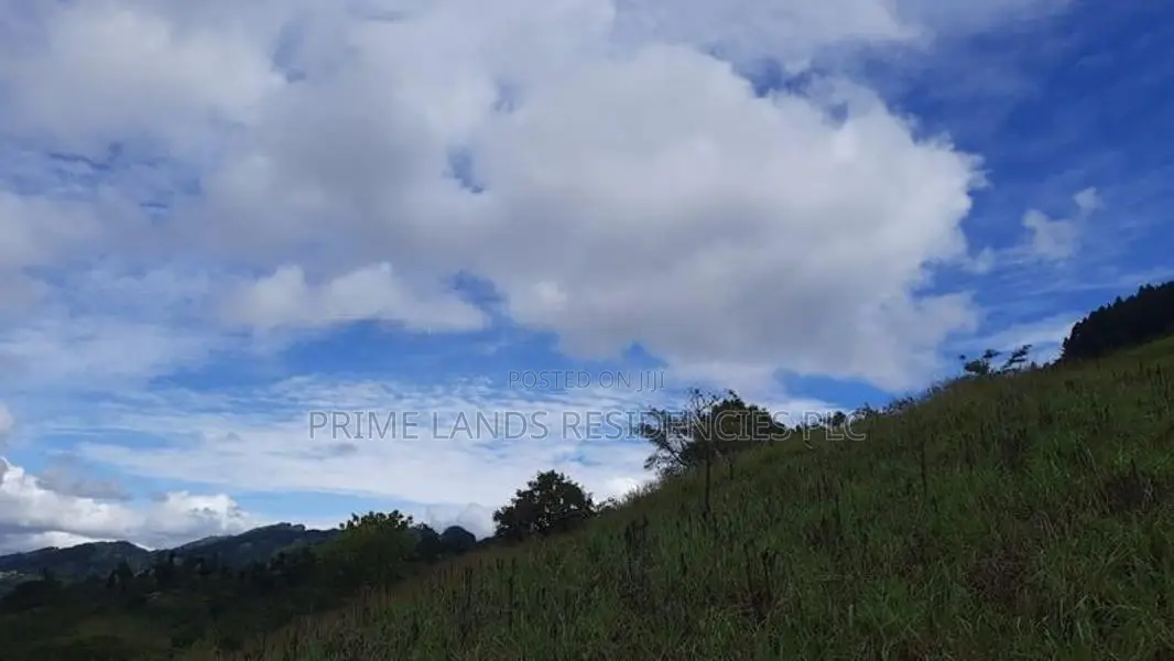 Mountain View Land for Sale in Nillamba