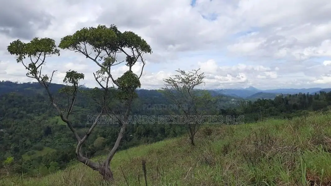 Mountain View Land for Sale in Nillamba