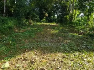 Valuable Land for Sale in Matara, Malimbada Facing Akuressa Road