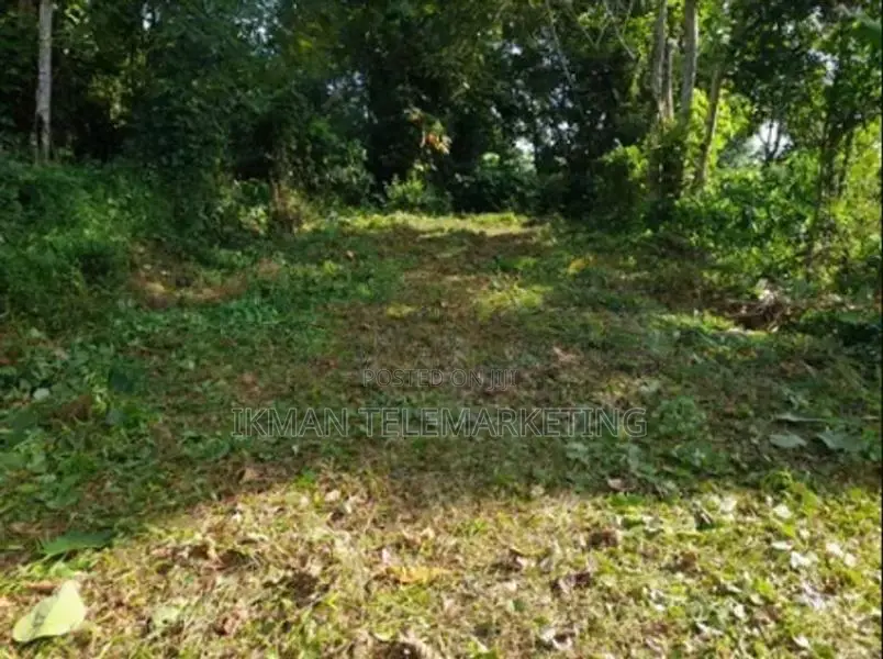 Valuable Land for Sale in Matara, Malimbada Facing Akuressa Road
