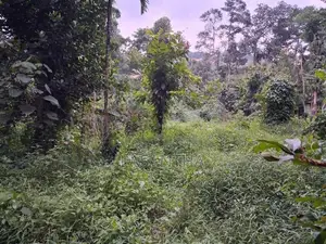 Land with House for Sale Digana