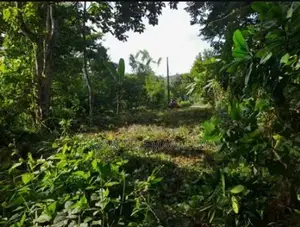 Valuable Land for Sale in Matara, Malimbada Facing Akuressa Road