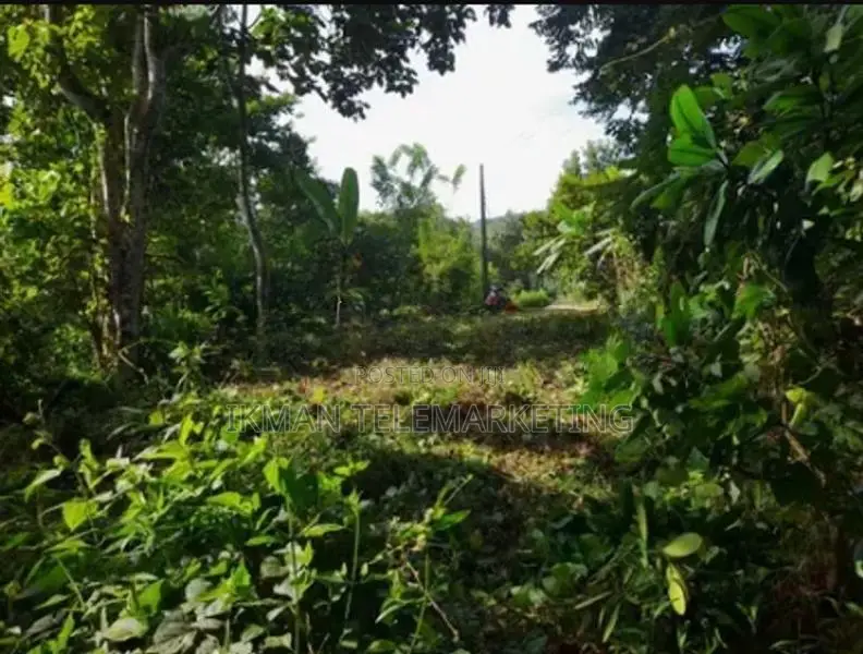 Valuable Land for Sale in Matara, Malimbada Facing Akuressa Road