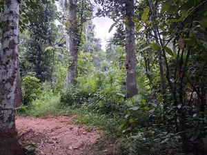 Land with House for Sale Digana