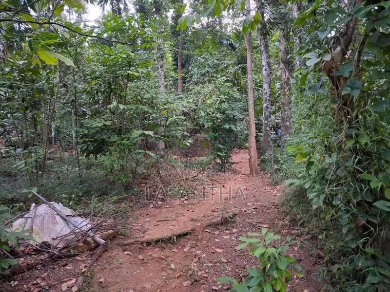 Land with House for Sale Digana