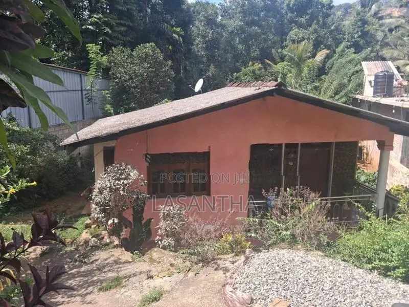 Land with House for Sale Digana