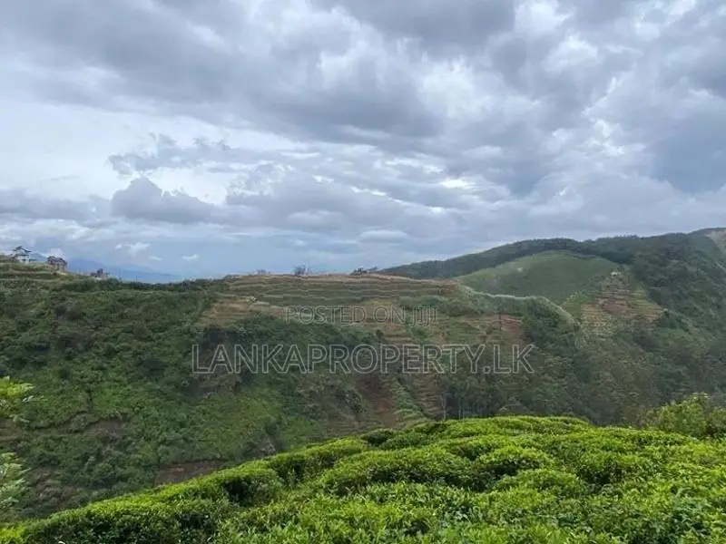 Commercial Land for Sale at Kandapola, Nuwara Eliya.