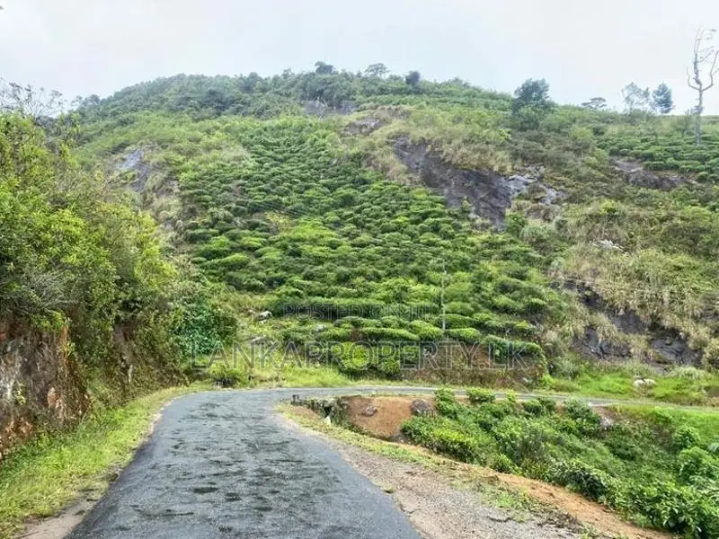 Commercial Land for Sale at Kandapola, Nuwara Eliya.