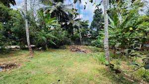 Residential Land in Mathammana, Minuwangoda