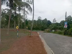 Near to Piliyandala Koralaima Bus Route